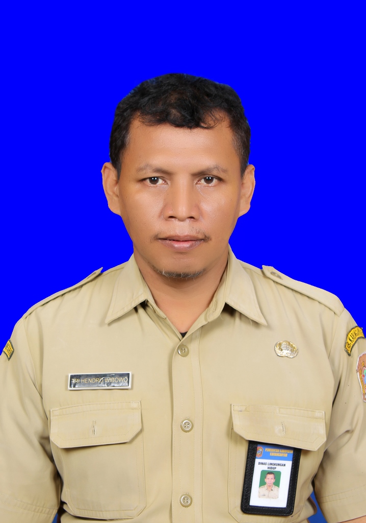 TRI HENDRO WIBOWO, S.T., M.M.